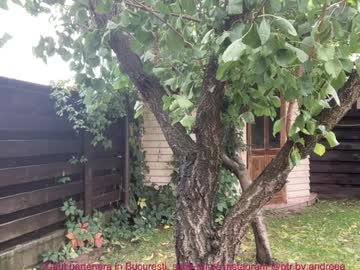 Foto erotica #1031591 pe KUR.ro