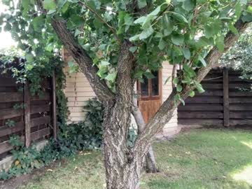 Foto erotica #923978 pe KUR.ro