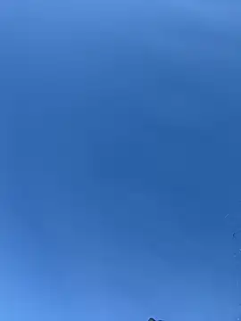 Poza Erotica #2055921 - Dimensiune completa