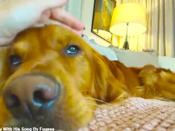 Foto erotica 3219265