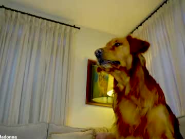 Foto erotica 3373185