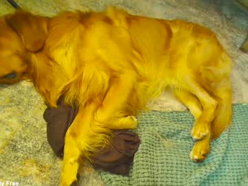 Foto erotica #2809901 pe KUR.ro