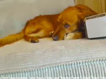 Foto erotica #3090673 pe KUR.ro