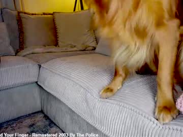 Foto erotica #3042488 pe KUR.ro